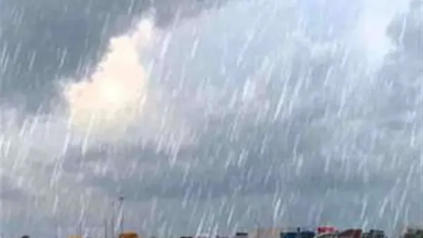 توقعات الأرصاد: أمطار متوسطة تعم القاهرة الكبرى مع انخفاض درجات الحرارة مساء الجمعة