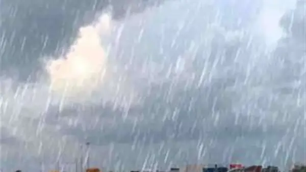 توقعات الأرصاد: أمطار متوسطة تعم القاهرة الكبرى مع انخفاض درجات الحرارة مساء الجمعة