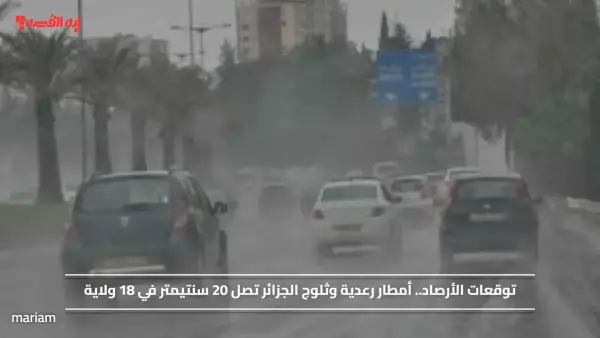 توقعات الأرصاد.. أمطار رعدية وثلوج الجزائر تصل 20 سنتيمتر في 18 ولاية