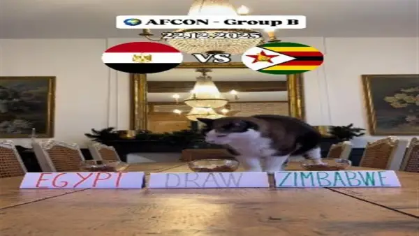 توقع القط نيمبوس.. كيف اختار فوز مصر على زيمبابوي في أمم أفريقيا؟
