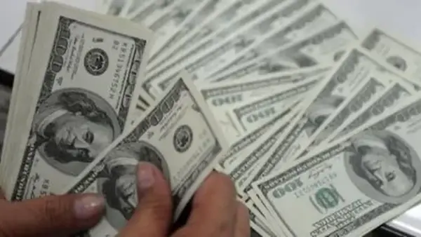 ثبات سعر الدولار في البنوك المصرية يعزز استقرار الأسواق الجمعة 5 ديسمبر 2025