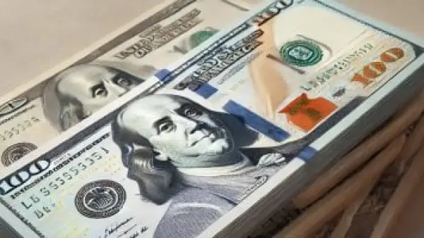 ثبات سعر الصرف.. كم سجل الدولار مقابل الجنيه في تعاملات الصباح؟