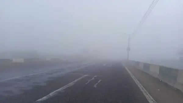 حالة الطقس المتوقعة: شبورة كثيفة وأمطار ورياح تؤثر على حركة التنقل في الأيام القادمة