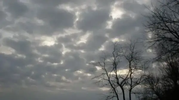 حالة الطقس في القاهرة والمحافظات غدًا الجمعة: أمطار متوقعة مع وجود شبورة مائية تؤثر على الرؤية