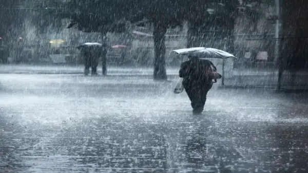 خبيرة الأرصاد تكشف الأسباب الحقيقية لاختلاف شتاء 2025 عن المواسم السابقة