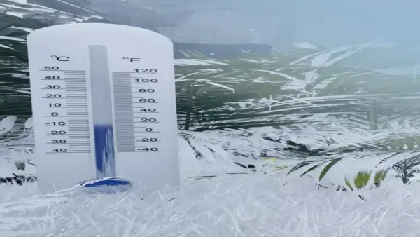 درجات الحرارة في القريات تسجل 5 تحت الصفر وتؤثر على المناطق المجاورة في المملكة