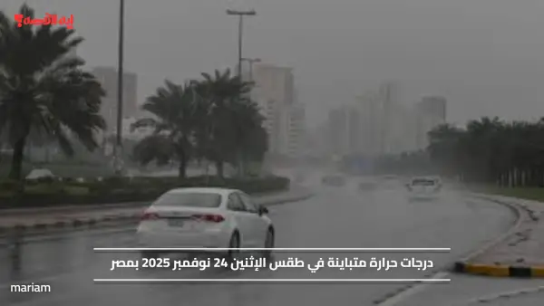 درجات حرارة متباينة في طقس الإثنين 24 نوفمبر 2025 بمصر