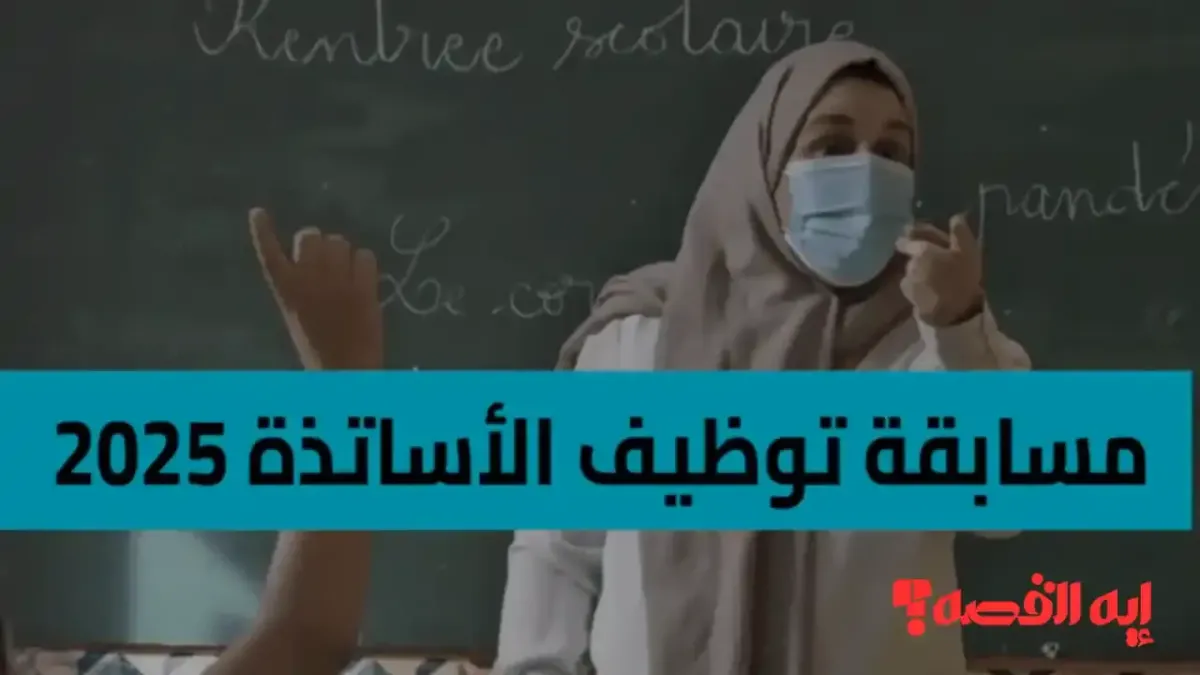 رسميا.. موعد صرف معاش الضمان الاجتماعي يبدأ صرفه للمستفيدين ديسمبر 2025