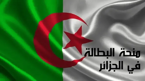 رفع منحة البطالة 300 دينار في الجزائر وفقا لقرار الحكومة وشروط تجديدها لأكثر من سنة