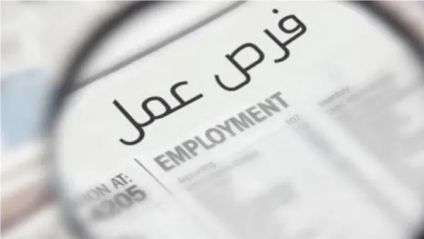 رواتب تصل إلى 16 ألف جنيه.. فرص عمل لـ185 وظيفة في السويس وشروط التقديم