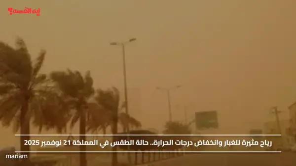 رياح مثيرة للغبار وانخفاض درجات الحرارة.. حالة الطقس في المملكة 21 نوفمبر 2025