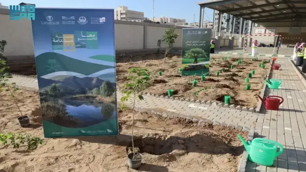 زراعة 200 ألف شجرة في مدارس المدينة المنورة تعزز جودة البيئة التعليمية وتخفف التلوث
