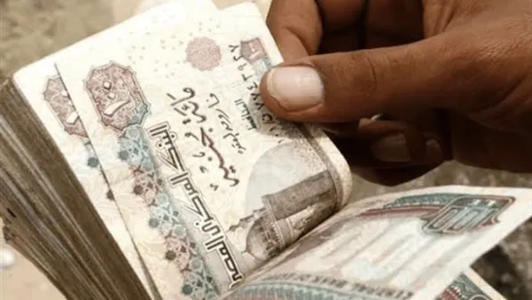 زيادة المعاشات 2026 تبدأ 1 يناير وفق قانون التأمينات الجديد