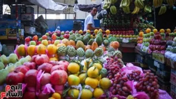 سعر البرتقال في المنوفية يسجل تراجعًا جديدًا مع بداية تعاملات الأسبوع