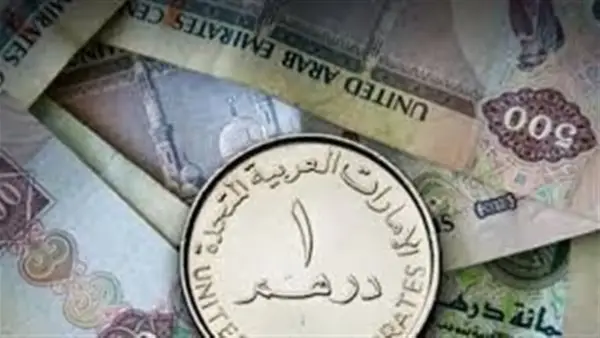 سعر الدرهم الإماراتي مقابل الجنيه المصري اليوم 8 ديسمبر 2025 يشهد استقرارًا داخل البنوك وشركات الصرافة
