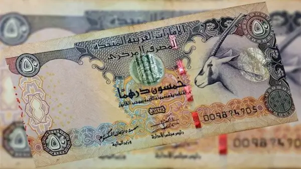 سعر الدرهم الإماراتي يثبت أمام الجنيه المصري في ختام تعاملات البنوك الثلاثاء