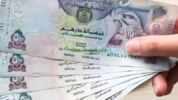 سعر الدرهم الإماراتي.. تحركات جديدة في صرف العملة أمام الجنيه بالبنوك المصرية