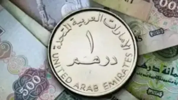 سعر الدرهم الإماراتي.. استقرار مفاجئ أمام الجنيه المصري في تعاملات البنوك اليومية