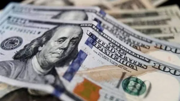 سعر الدولار أمام الجنيه المصري يفتتح التعاملات بتثبيت نسبي اليوم