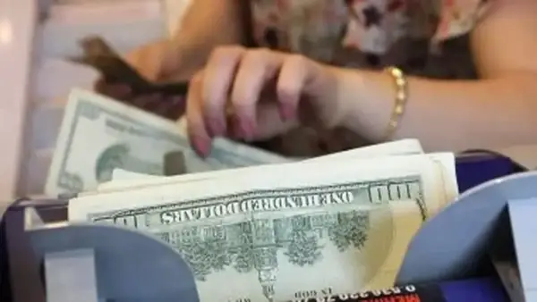 سعر الدولار في البنوك المصرية يواصل استقراره وسط تقلبات السوق