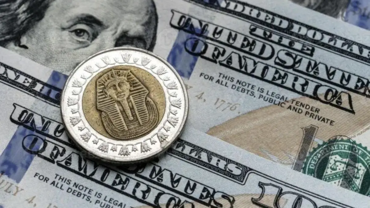 سعر الدولار مقابل الجنيه المصري اليوم السبت 20 ديسمبر 2025: تقرير شامل للتغيرات والتأثيرات الاقتصادية