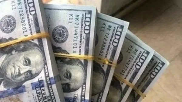 سعر الدولار مقابل الجنيه في البنوك المصرية يشهد تذبذبًا وتأثيرات على السوق المحلية