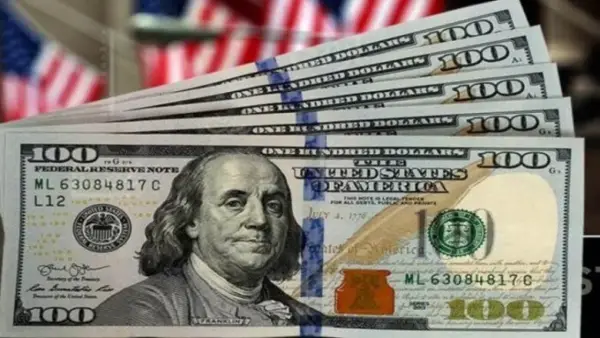 سعر الدولار يشهد استقرارًا نسبيًا خلال تعاملات 2 ديسمبر 2025 وتأثيره على الأسواق المحلية