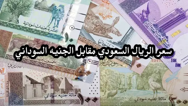 سعر الريال السعودي مقابل الجنيه السوداني اليوم في السوق السوداء اليوم .. تعرف على سعر الصرف الآن