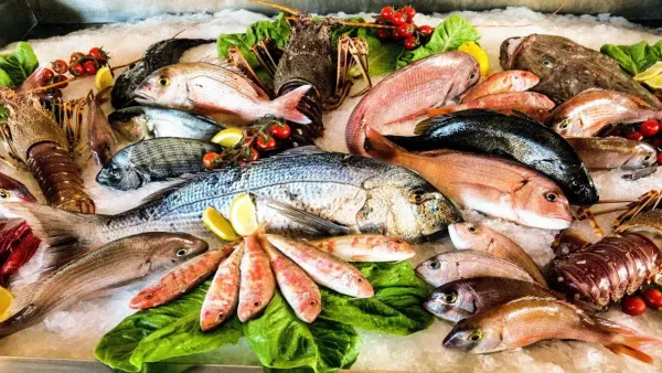 سعر السمك اليوم  الإثنين في مصر من الشبكة إلى سفرتك طازجة!