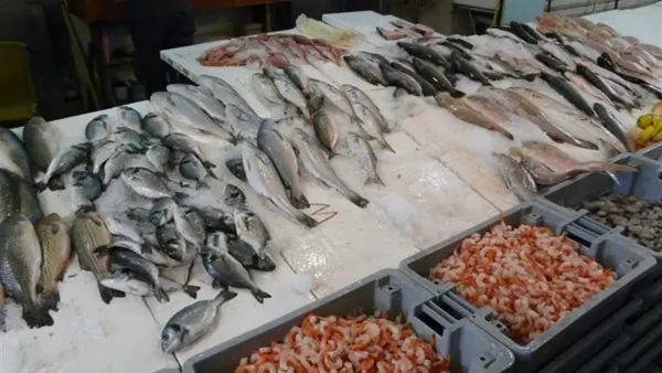 سعر السمك في سوق العبور: تراجع سعر البوري 40 جنيهاً وتأثيره على مبيعات التجزئة