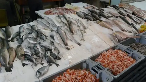 سعر السمك في سوق العبور: تراجع سعر البوري 40 جنيهاً وتأثيره على مبيعات التجزئة