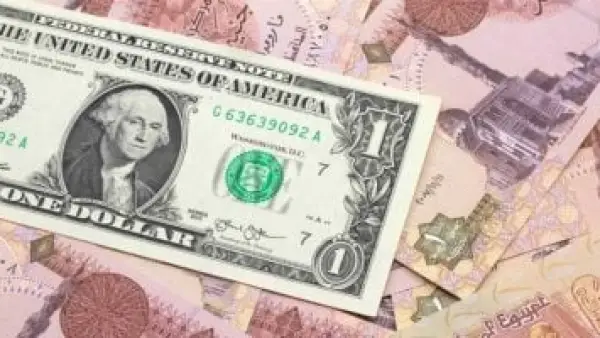 سعر الصرف اليوم.. استقرار ملحوظ في تداول الدولار مقابل الجنيه بالبنوك المصرية
