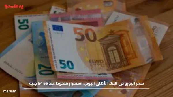 سعر اليورو في البنك الأهلي اليوم.. استقرار ملحوظ عند 54.55 جنيه