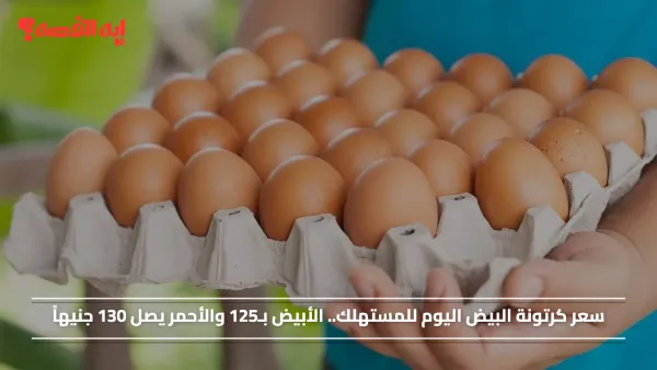 سعر كرتونة البيض اليوم للمستهلك.. الأبيض بـ125 والأحمر يصل 130 جنيهاً