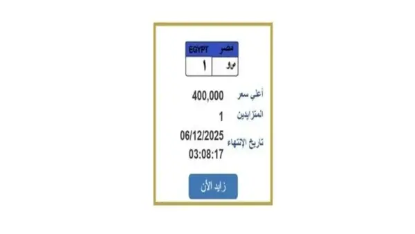 سعر لوحة السيارة المميزة يرتفع إلى 400 ألف جنيه مع خطوات التزايد الأخيرة