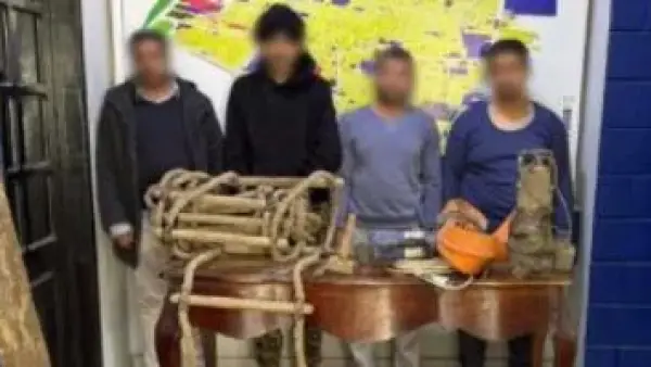 سقوط 4 أشخاص.. كشف نفق سري للتنقيب عن الآثار بمنطقة روض الفرج