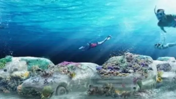 سيارات خرسانية تغرق قبالة ميامي لتصبح موطنًا جديدًا للشعاب المرجانية.
