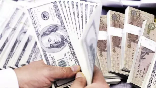 شبكة تجارة العملات السرية في الجيزة تُضبط بمبالغ مالية كبيرة تؤثر على السوق المحلية