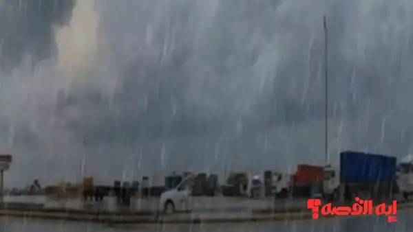 شتاء قارس.. حالة الطقس غدا الأحد أمطار رعدية بغزارة حتى 2026