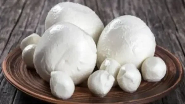 شراء الزبدة الفلاحي في يناير يضمن حفظها لفترة أطول وجودة طعم أفضل