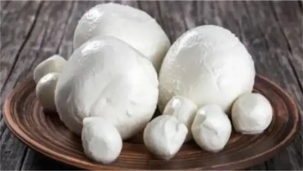 شراء الزبدة الفلاحي في يناير يضمن حفظها لفترة أطول وجودة طعم أفضل