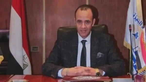 شعبة الدواجن تحذر من تزايد حالات الفراخ «السردة» وتأثيرها المباشر على صحة المستهلك