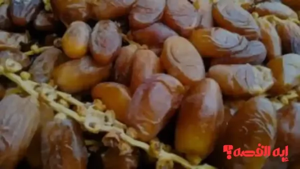 صدمة تجار.. ارتفاع ملحوظ بأسعار البلح السيوي في أسواق مطروح لـ 2025