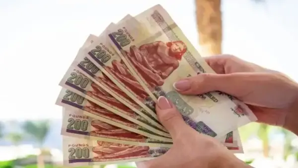 صرف مرتبات العاملين بالدولة لشهر ديسمبر 2025 يحدد الجدول الزمني للمستحقات المالية