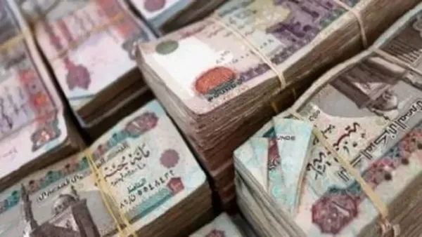 صرف مرتبات ديسمبر 2025 يحدد جدولاً جديدًا يؤثر على التخطيط المالي للعاملين