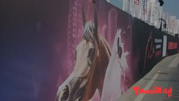 صور وأبطال.. الختام المبهر لبطولة العالم للخيل العربية 2025 يخطف الأنظار