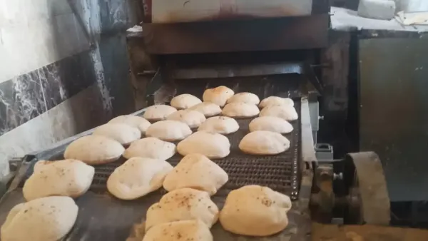 ضبط 26 مخالفة في القليوبية تشمل مخابز تغش المواطنين ومطاعم تعمل بدون أسعار واضحة