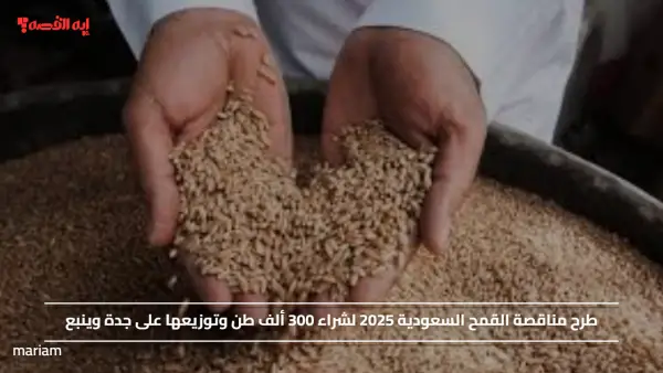 طرح مناقصة القمح السعودية 2025 لشراء 300 ألف طن وتوزيعها على جدة وينبع