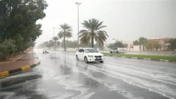 طقس الأربعاء 17 ديسمبر 2025: أجواء باردة وأمطار غزيرة مع توقع سيول والعظمى في القاهرة تصل إلى 20 درجة