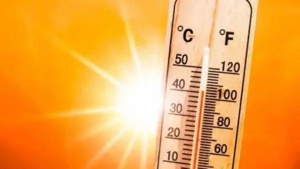 طقس الجزائر غداً يتوقع انخفاض درجات الحرارة وارتفاع نسب الرطوبة في عدة مناطق